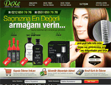 Tablet Screenshot of dexebayi.com